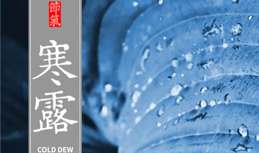 永利集团·yl(中国游)官方网站